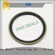 DMS Seal Manufacturer best hydraulic ram seals for larger piston clearance 1