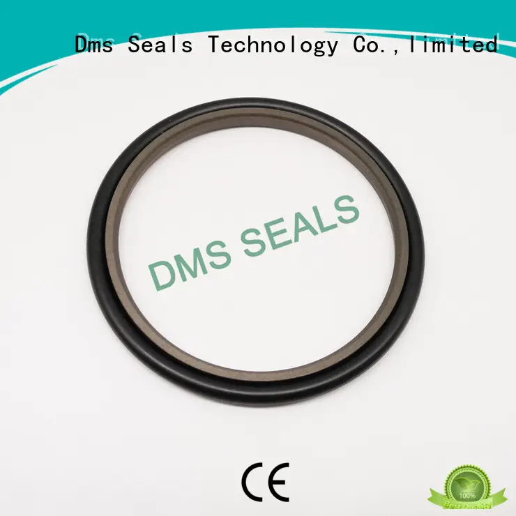 DMS Seal Manufacturer compact piston o ring 1