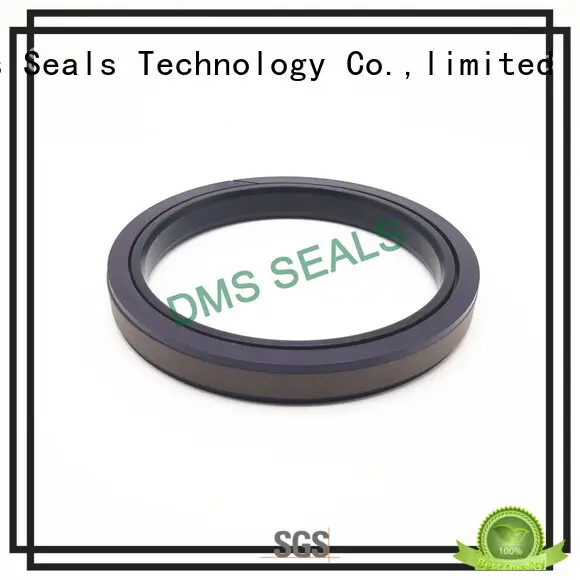 rod seal glyd ring for piston and hydraulic cylinder DMS Seal Manufacturer 1