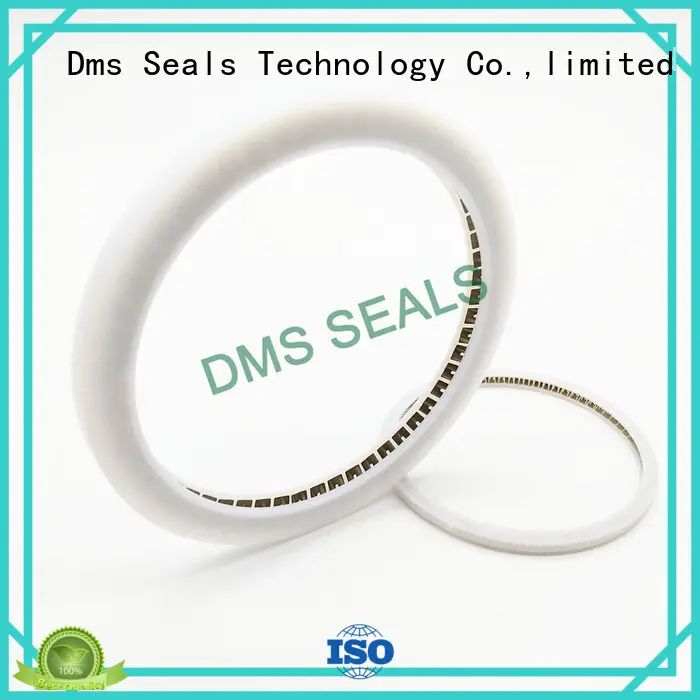 DMS Seal Manufacturer oil seal manufacturer parts for reciprocating piston rod or piston single acting seal 1