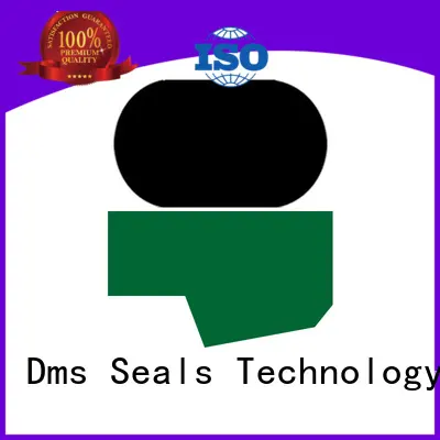 DMS Seal Manufacturer ptfe O Ring Manufacturers with nbr or fkm o ring for pressure work and sliding high speed occasions 1