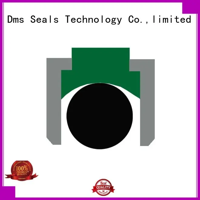 DMS Seal Manufacturer piston seals with nbr or fkm o ring for light and medium hydraulic systems 1