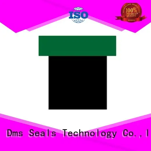 DMS Seal Manufacturer compact hydraulic piston seals suppliers for pneumatic equipment 1