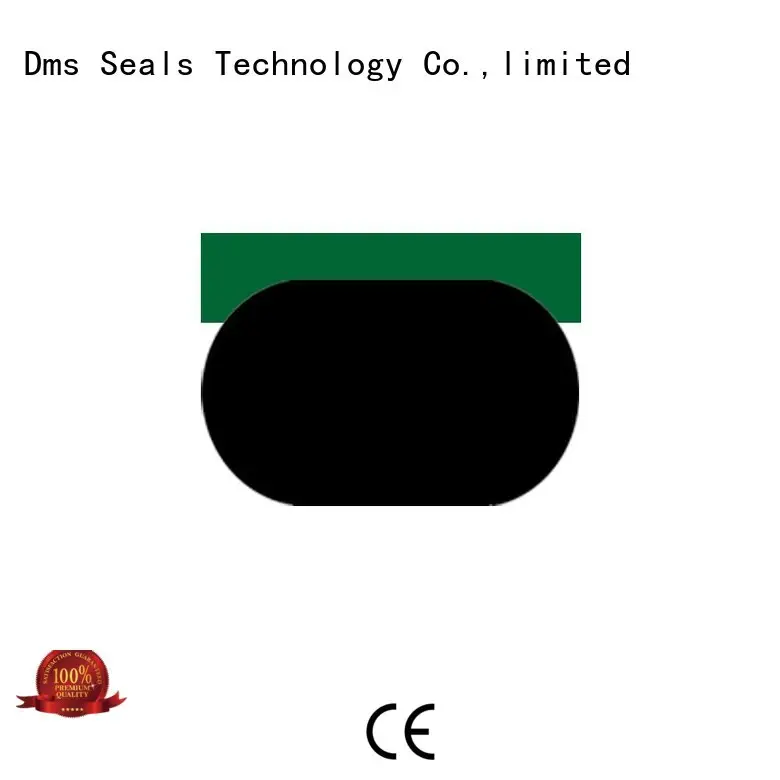 DMS Seal Manufacturer combined hydraulic piston seals with ptfe nbr and pom for light and medium hydraulic systems 1
