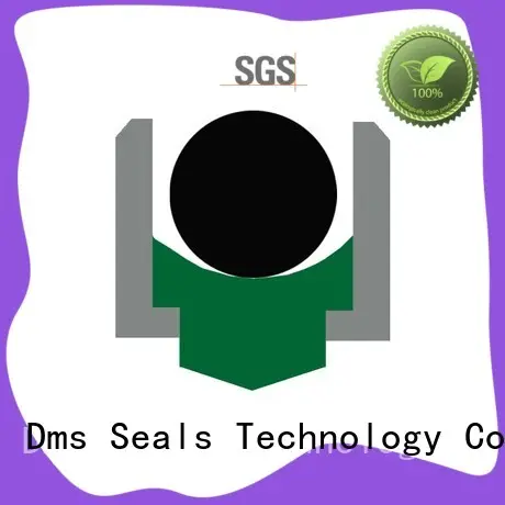 DMS Seal Manufacturer rotary seals with nbr or fkm o ring for construction machinery 1