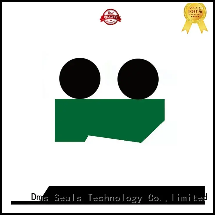 DMS Seal Manufacturer scraper seals with nbr or fkm o ring for injection molding machines 1