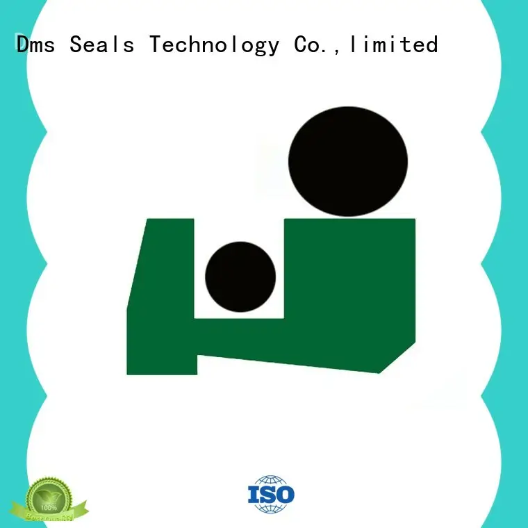 DMS Seal Manufacturer wiper seals with different characteristics for injection molding machines 1