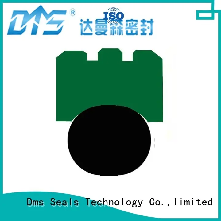 DMS Seal Manufacturer high speed o-ring seal online for automotive equipment 1