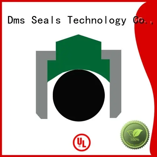 DMS Seal Manufacturer piston rotary shaft seals online for automotive equipment 1