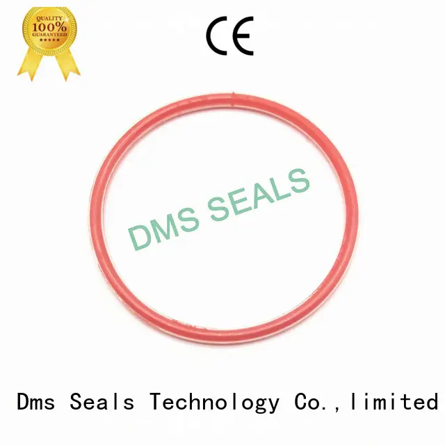 DMS Seal Manufacturer fda O Ring Manufacturer design in highly aggressive chemical processing 1