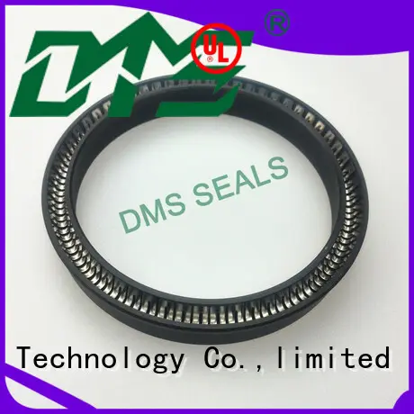 DMS Seal Manufacturer spring seals solutions for reciprocating piston rod or piston single acting seal 1