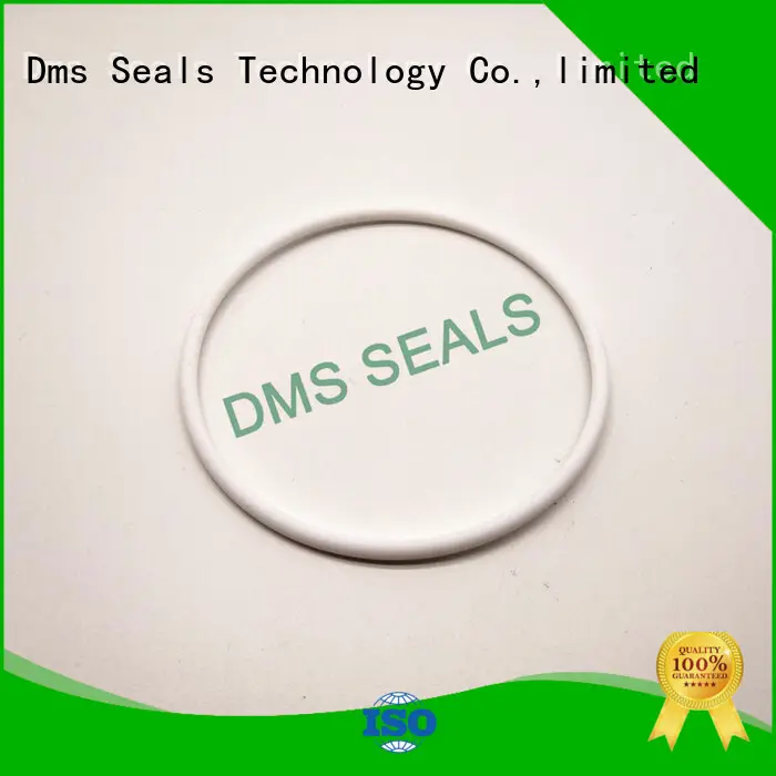 DMS Seal Manufacturer fkm O Ring Manufacturer for sale 1