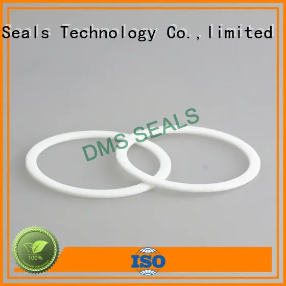 DMS Seal Manufacturer bronze filled nbr gasket torque for preventing the seal from being squeezed 1