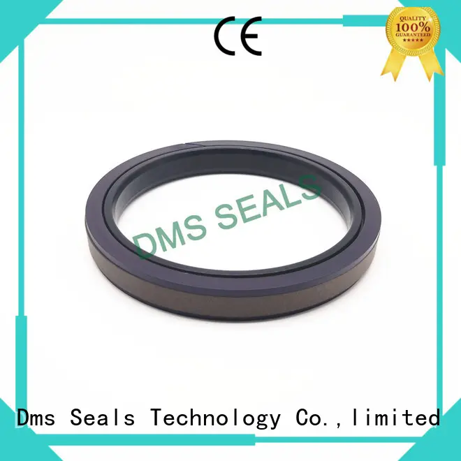 DMS Seal Manufacturer glyd ring o ring for piston and hydraulic cylinder 1