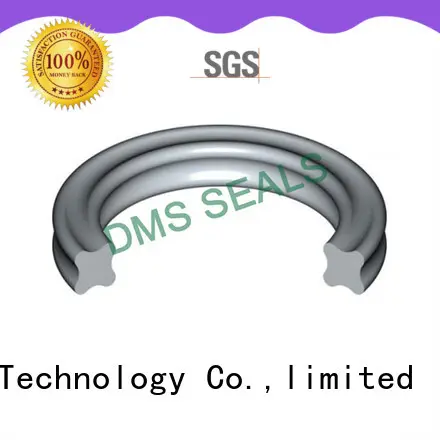 DMS Seal Manufacturer o-ring seal in highly aggressive chemical processing 1