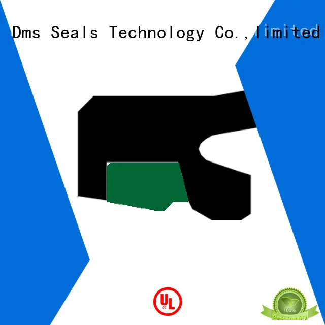 DMS Seal Manufacturer o-ring seal supplier to high and low speed 1