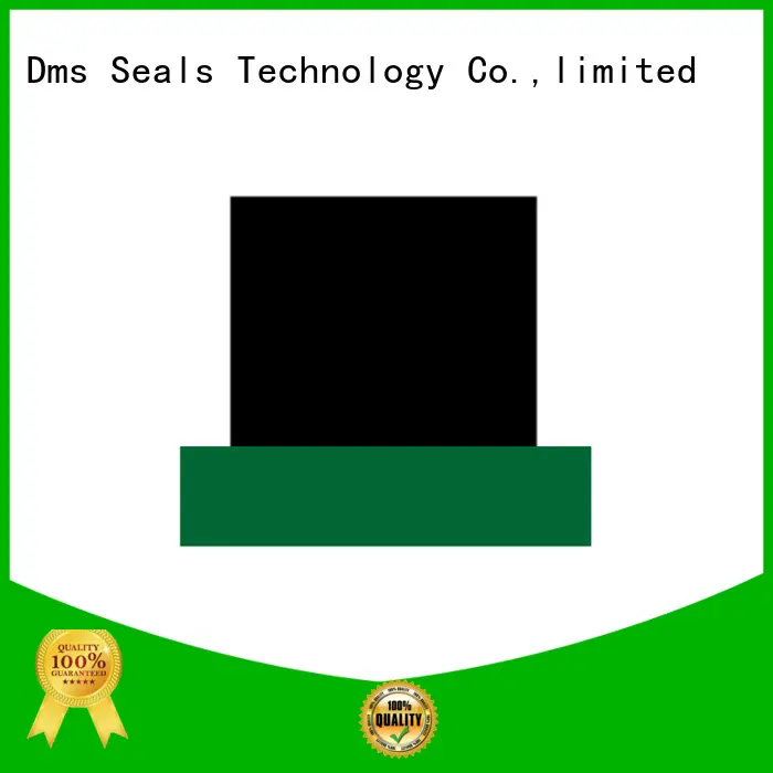 DMS Seal Manufacturer high end hydraulic rod seals with nbr or fkm o ring to high and low speed 1