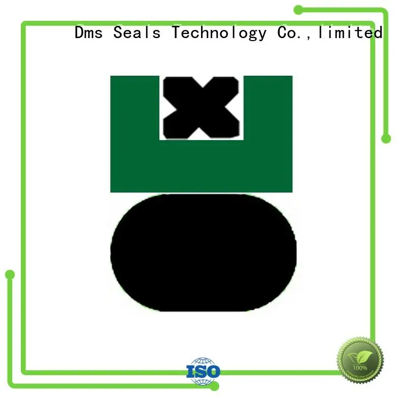 DMS Seal Manufacturer piston seals with ptfe nbr and pom for sale 1