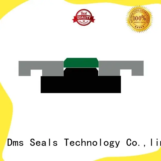 DMS Seal Manufacturer o-ring seal with ptfe nbr and pom for pneumatic equipment 1
