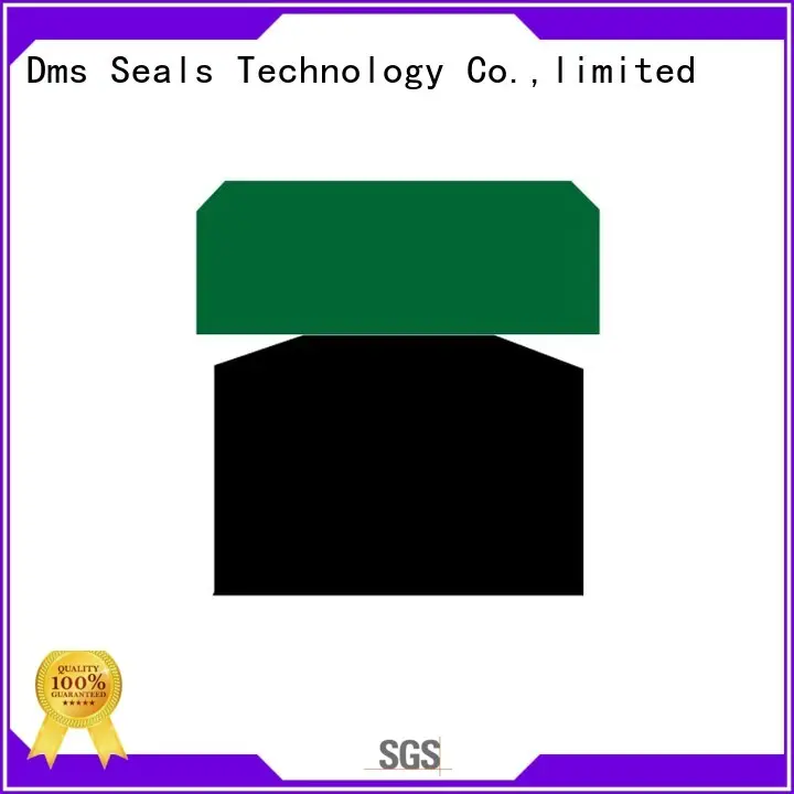 DMS Seal Manufacturer hydraulic piston seals manufacturer for pneumatic equipment 1