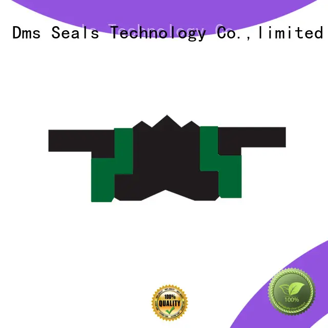 DMS Seal Manufacturer combined hydraulic piston seals with ptfe nbr and pom for pneumatic equipment 1