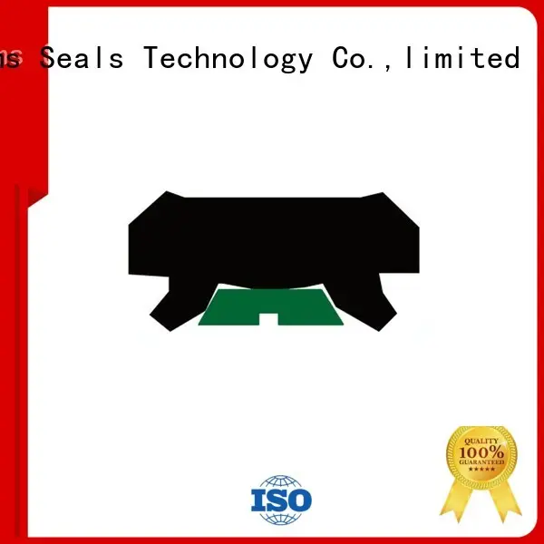 DMS Seal Manufacturer bronze rod seals with nbr or fkm o ring for sale 1