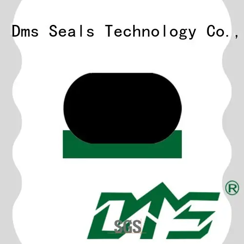 DMS Seal Manufacturer o-ring seal with nbr or fkm o ring for sale1 1