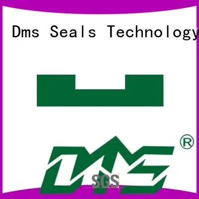DMS Seal Manufacturer oil seal manufacturer wear ring for sale 1