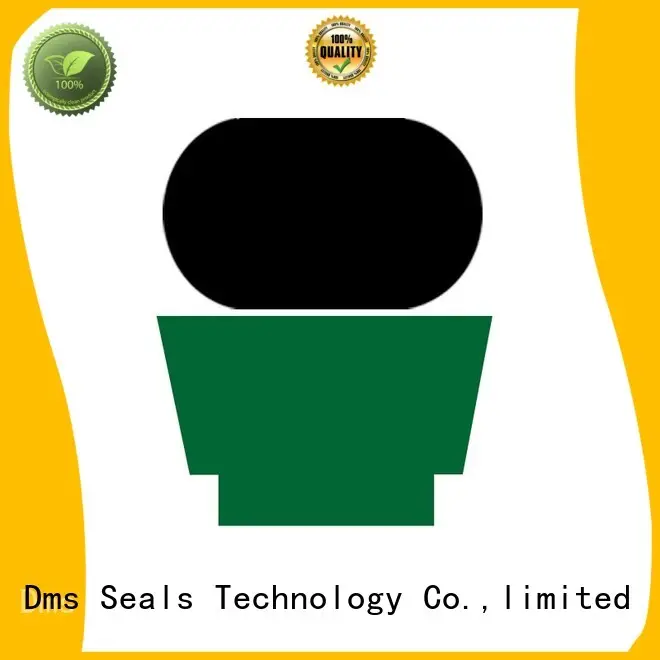 high end hydraulic rod seals supplier for sale 1