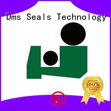 DMS Seal Manufacturer hydraulic wiper seals supplier for forklifts 1