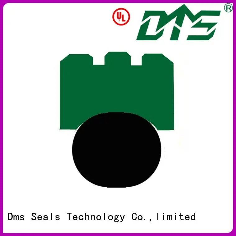 DMS Seal Manufacturer high speed rotary seals design for construction machinery 1