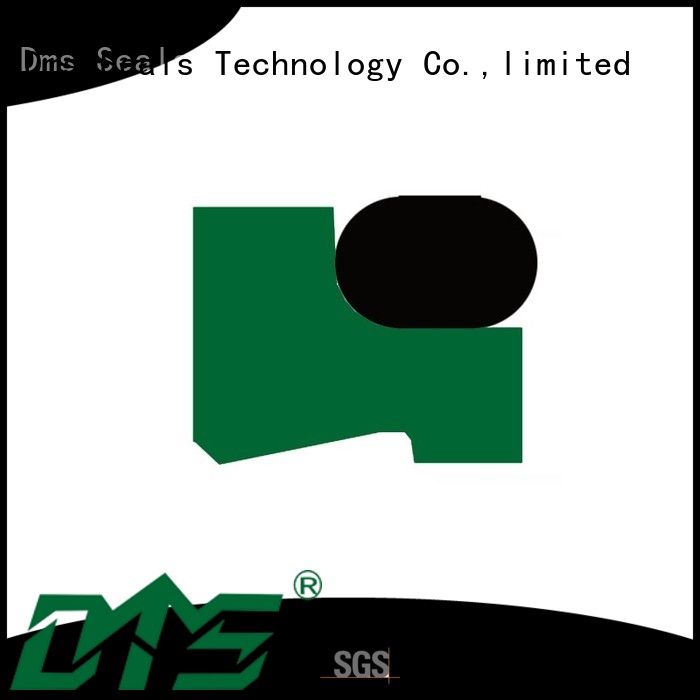 DMS Seal Manufacturer hydraulic wiper seals with different characteristics for injection molding machines 1