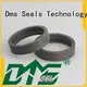 DMS Seal Manufacturer tape bearing element guide strip as the guide sleeve 1