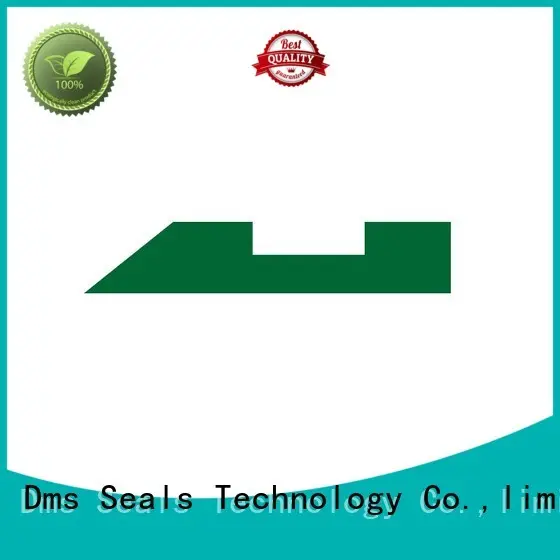 DMS Seal Manufacturer virgin bearing element guide strip as the guide sleeve 1
