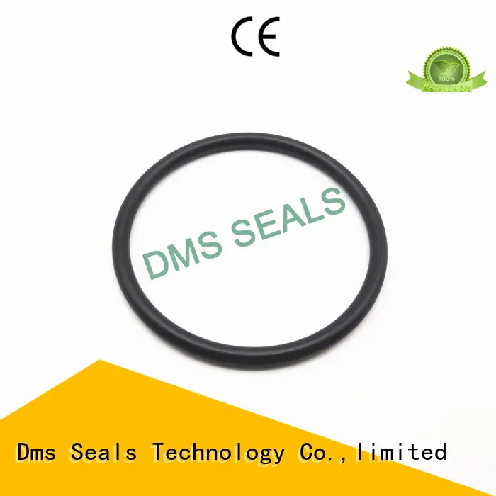 kalrez o ring seal manufacturer with a diisocyanate or a polymeric isocyanate in highly aggressive chemical processing 1