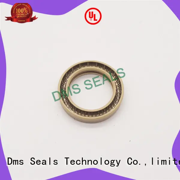 DMS Seal Manufacturer ptfe spring energized seals online for reciprocating piston rod or piston single acting seal 1