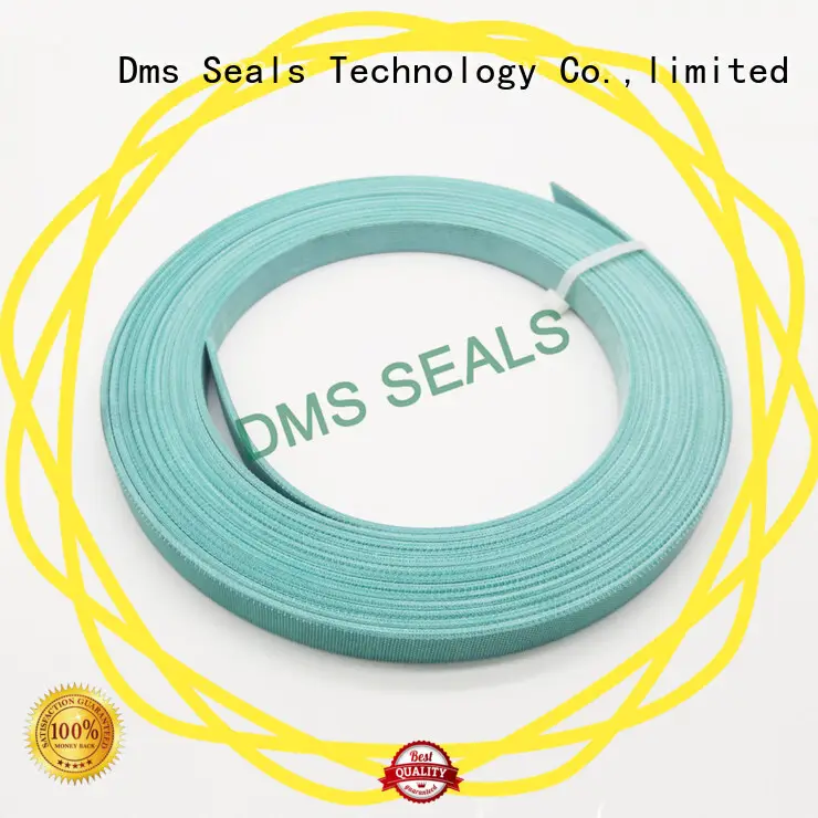 DMS Seal Manufacturer phenolic bearing element guide strip for sale 1