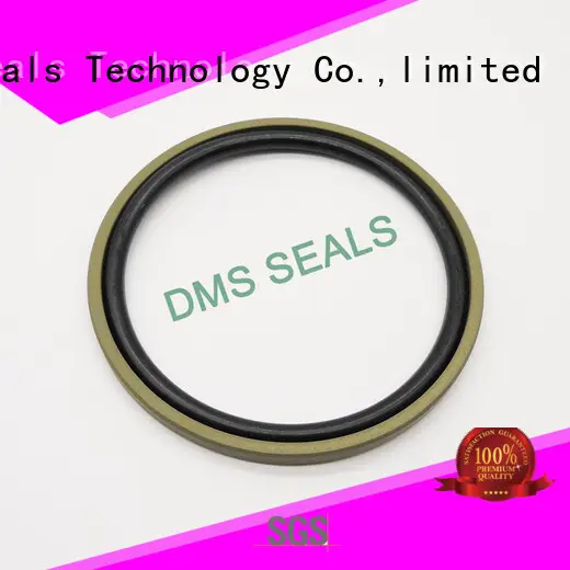 DMS Seal Manufacturer bronze filled hydraulic cylinder piston seals supplier for piston and hydraulic cylinder 1