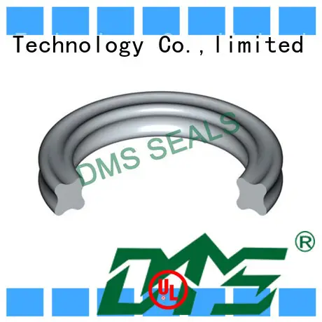 DMS Seal Manufacturer o-ring seal design for static sealing 1