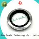 DMS Seal Manufacturer primary Oil Seals with a rubber coating for housing 1