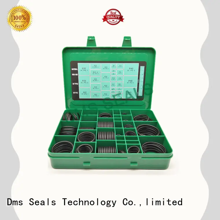 DMS Seal Manufacturer o ring set China For sealing products 1