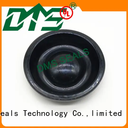 DMS Seal Manufacturer viton rubber oil seal suppliers for leakage gap 1