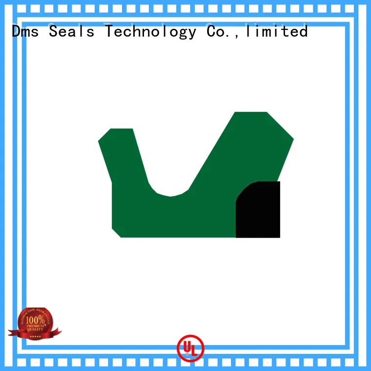 ptfe rod seals supplier to high and low speed 1