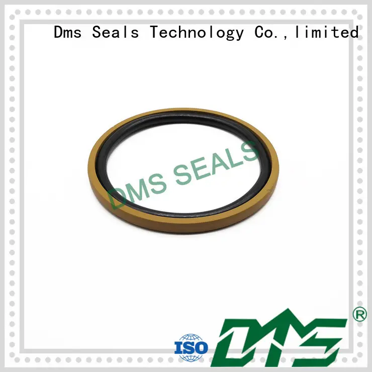 DMS Seal Manufacturer compact hydraulic piston seals glyd ring for light and medium hydraulic systems 1
