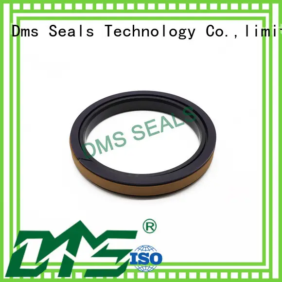 DMS Seal Manufacturer combined piston seals glyd ring for sale 1