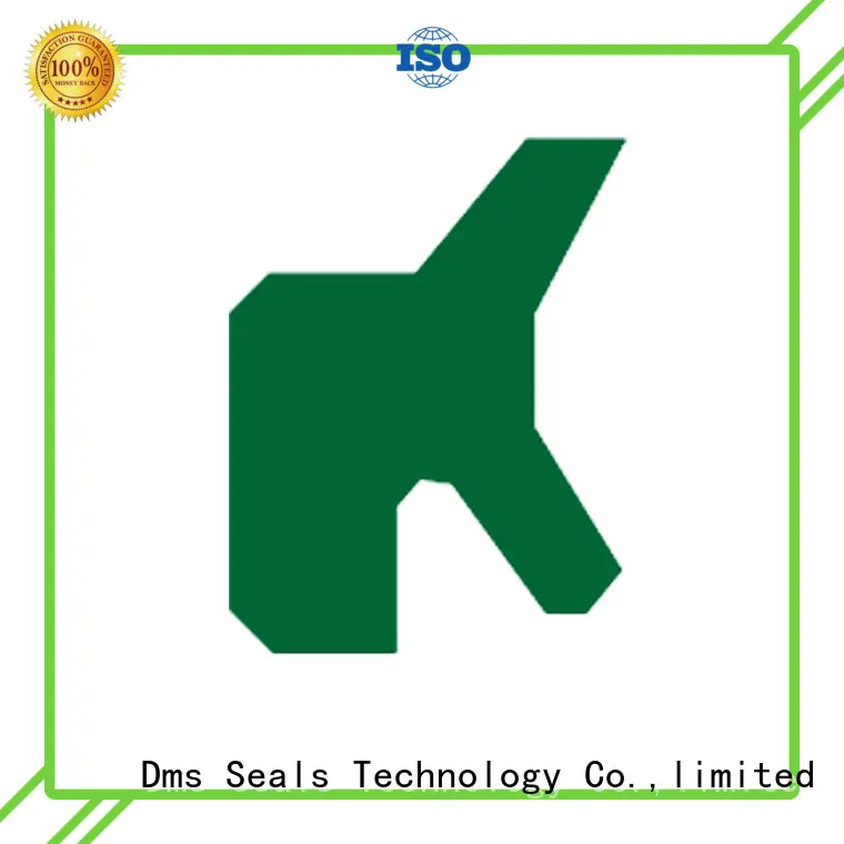 DMS Seal Manufacturer hydraulic wiper seals manufacturer for cranes 1