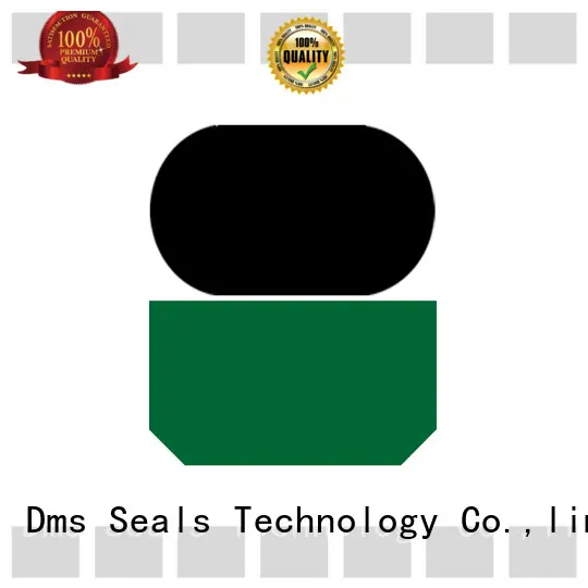 DMS Seal Manufacturer high end rod seals with nbr or pu to high and low speed1 1