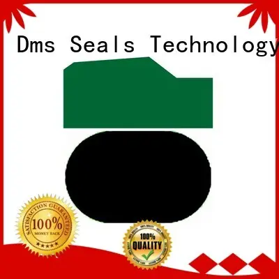 DMS Seal Manufacturer piston seals with nbr or fkm o ring for sale1 1