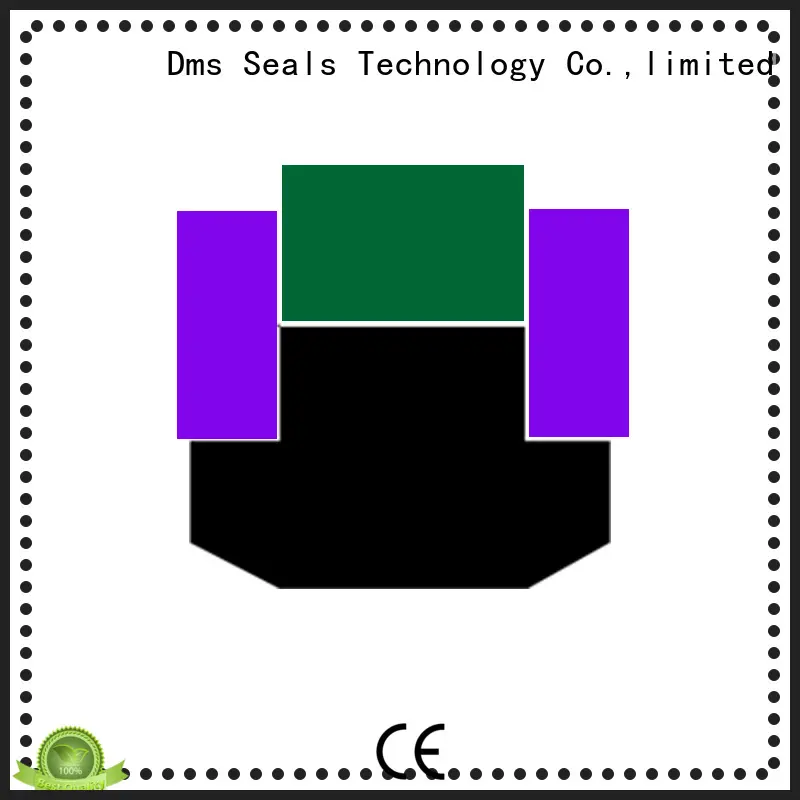 DMS Seal Manufacturer combined piston seals with nbr or fkm o ring for sale 1
