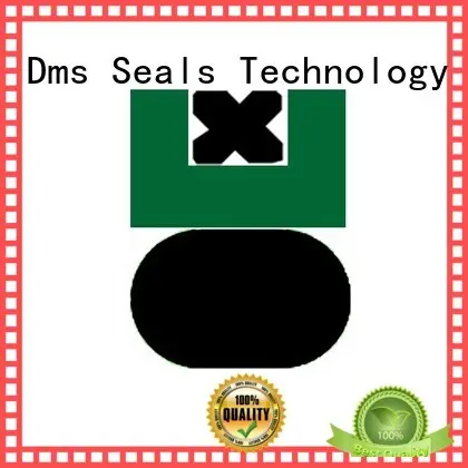 combined piston seals glyd ring for light and medium hydraulic systems 1